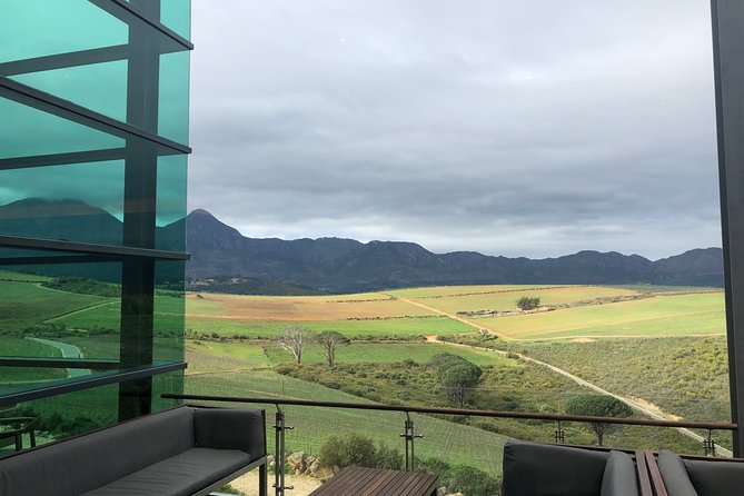 Wine tasting - Boutique farms - Tingo, Sungani, and Gavin: what to expect from the guiding