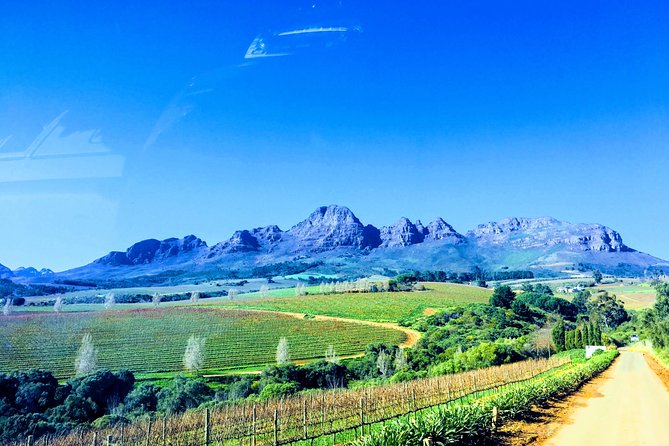 Wine tasting - Boutique farms - Is six hours enough for Stellenbosch?