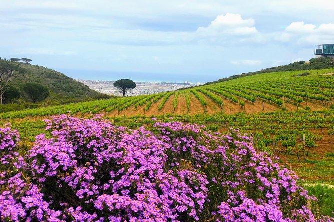 Wine tasting - Boutique farms - Price, inclusions, and the real value