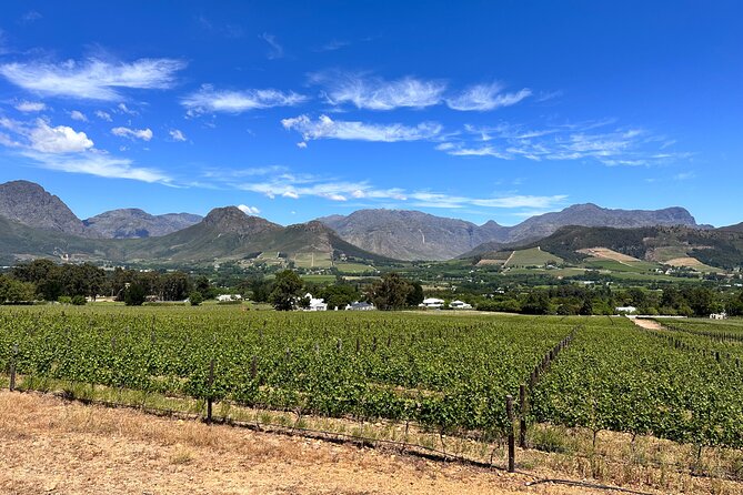 Wine Tasting in Cape's Top Three Winelands Private Tour - Delaire Graff: wine, art, and a polished setting