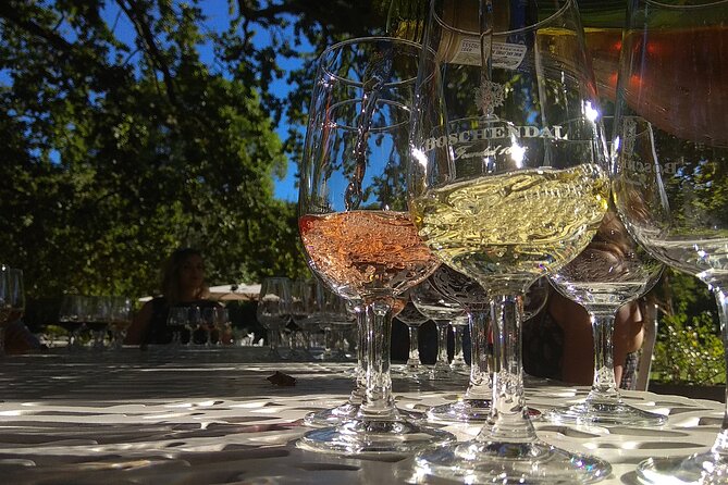 Wine Tour to Stellenbosch & Franschhoek with Tastings & Lunch - Three wine regions in one Cape Town day