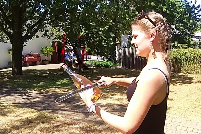 Wine Tour to Stellenbosch & Franschhoek with Tastings & Lunch - Who will enjoy this tour most